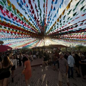 Bate e Volta para a Vila Sítio São João
