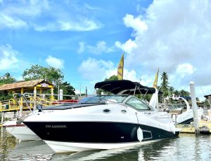 WhatsApp Image 2026-02-26 at 11.03.40 (1)